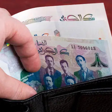 BirdNova paiement cash uniquement - Pas de carte bancaire requise